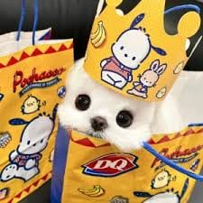 Joey de Leon's avatar